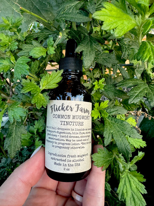Common Mugwort Tincture